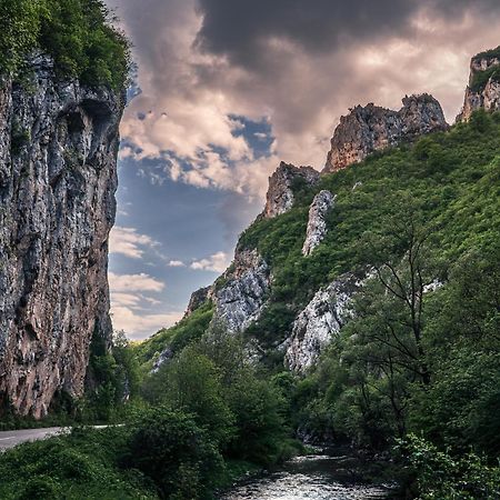 Golemi Kamik Pirot Vlasi Экстерьер фото